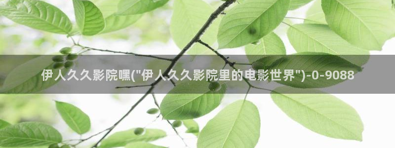 伊人久久无码影院无码