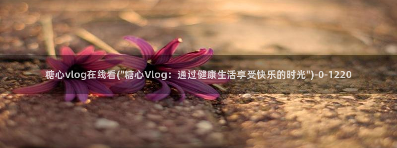  糖心vlog9：糖心vlog在线看(\
