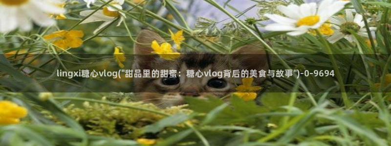  糖心vlogcom：lingxi糖心vlog(\