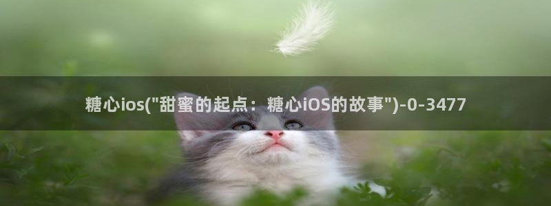 糖心vlog在线进入