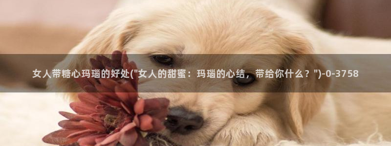 糖心vlog网站版