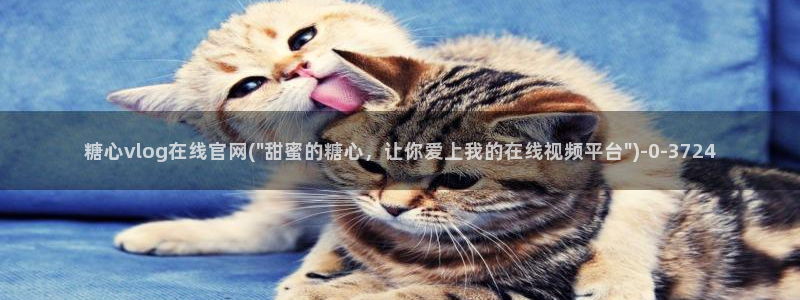 糖心vlog传媒免费网站