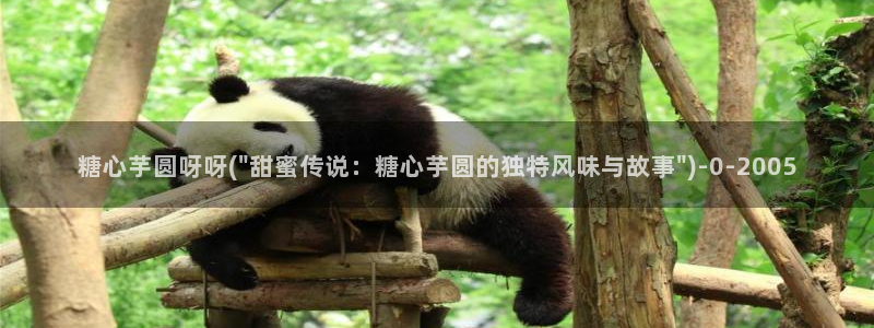 糖心vlog小二